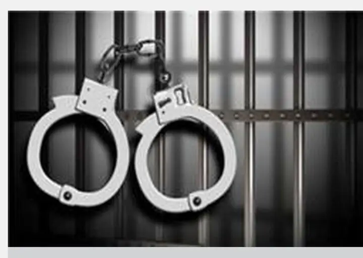 دستگیری دو سارق حرفه‌ای احشام در نهبندان؛ پلیس چگونه آنها را غافلگیر کرد؟