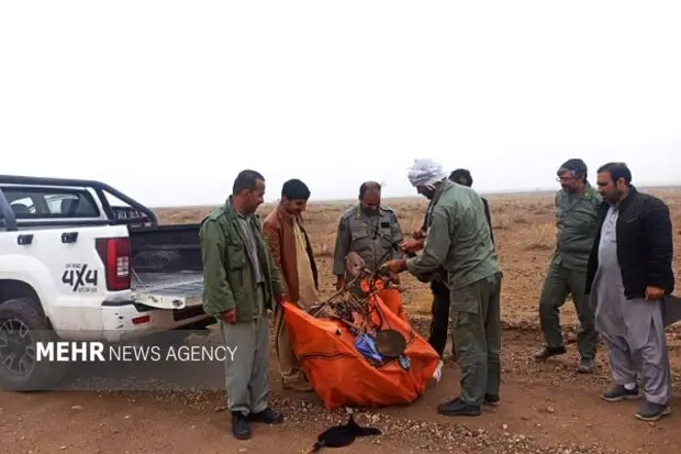 کشف بیش از ۷۰ تله زنده‌گیری پرندگان در خاش و تفتان؛ عملیات گسترده حفاظت آغاز شد!