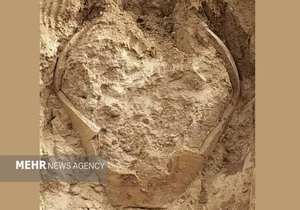 کشف کوزه تاریخی ساسانی در دشتستان پس از بارندگی‌های اخیر