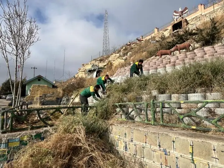 عملیات گسترده کاشت گل و گیاه در نقاط مختلف اردبیل به اوج رسید!