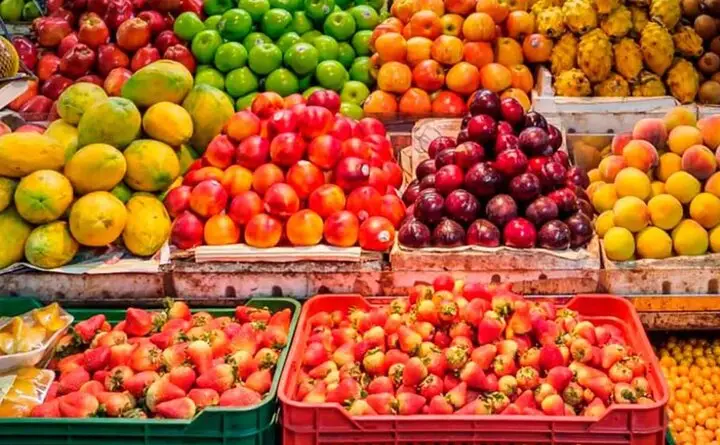 آیا سازمان مدیریت میادین میوه و تره‌بار وارد تجارت خارجی می‌شود؟ فرصتی نو برای درآمدزایی شهرداری!