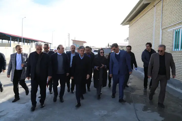 امامی: چرا رفع موانع تولید در رضی به تسریع و برنامه‌ریزی جدی نیاز دارد؟