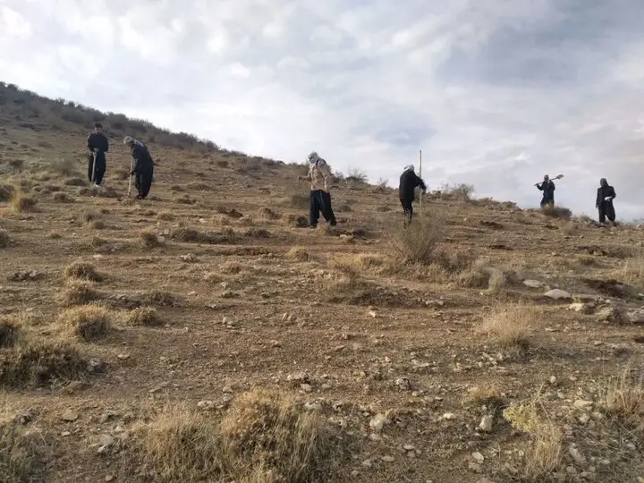 آغاز عملیات حیاتی کپه‌کاری برای نجات مراتع آسیب‌دیده اسلام‌آبادغرب