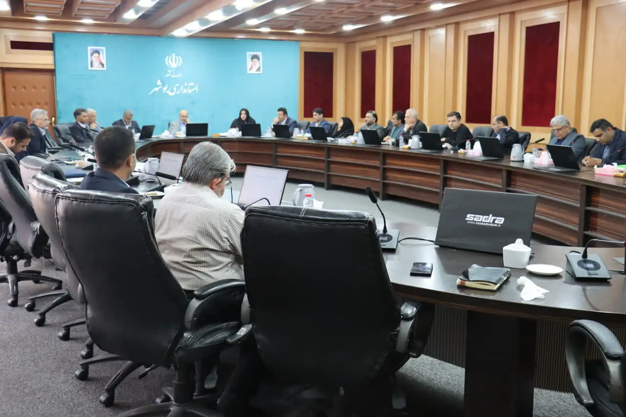 اسکندری: مناسب‌سازی ۶۶ دستگاه اجرایی استان بوشهر ارزیابی شد