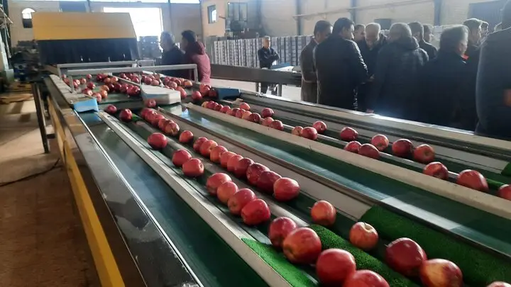 افتتاح بزرگ‌ترین واحد سردخانه و بسته‌بندی اشنویه با اشتغال‌زایی چشمگیر