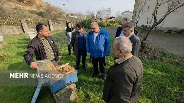 گلشن: حمایت ویژه از بخش خصوصی، کلید توسعه زنبورداری گیلان در سال جاری