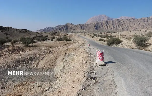 فرماندار دشتی خواستار تسریع تکمیل محور پرتردد خورموج-لاور شد