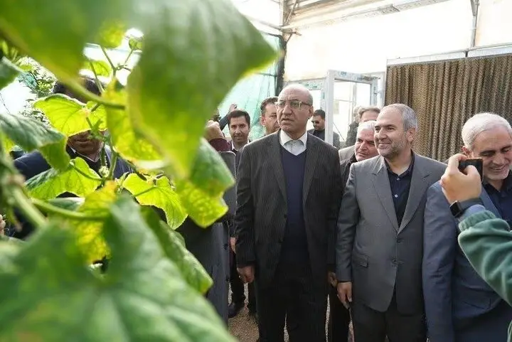 استاندار کرمانشاه از واحد دانش‌بنیان تولید دو میلیون نهال بازدید کرد؛ وعده حمایت عملی داده شد