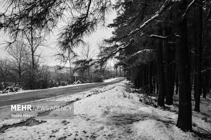 باد شدید و برف پاییزی؛ همدان آخر هفته را چگونه تجربه می‌کند؟