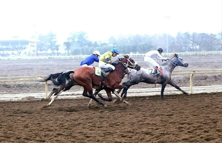 سهراب دهش؛ چابکسوار بی‌رقیب هفته هفتم اسبدوانی گنبدکاووس!