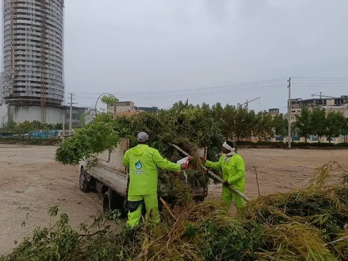طوفان سهمگین قشم، هزاران درخت را ریشه‌کن کرد و خسارت میلیاردی برجای گذاشت!