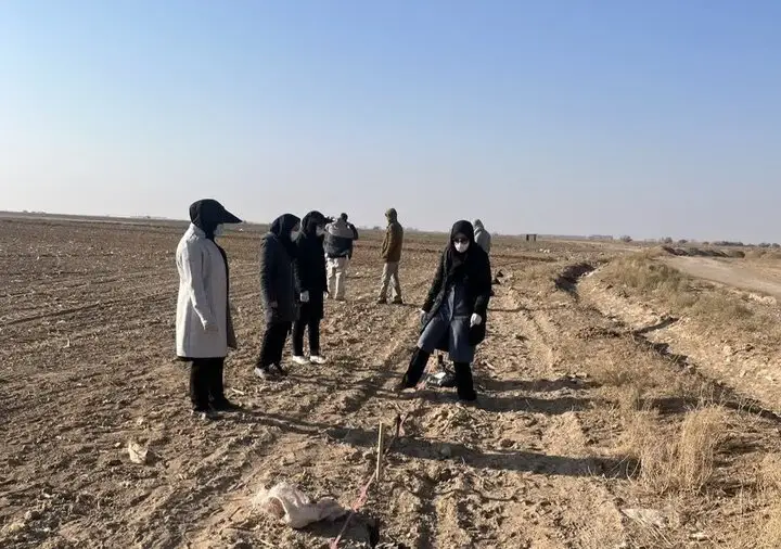 آغاز اجرای بی‌سابقه طرح انتخاب مشارکتی ارقام گندم در سمنان؛ کشاورزان و کارشناسان دست به کار شدند!