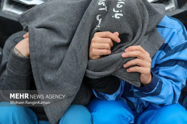 نعمتی: سارقان اماکن خصوصی در تبریز دستگیر شدند