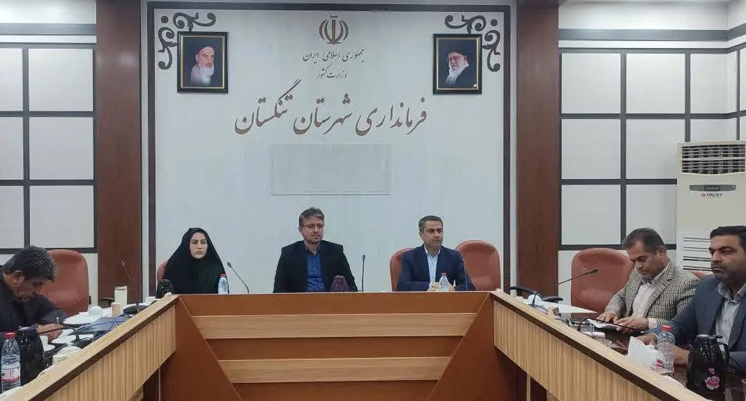 معاون فرماندار تنگستان: کمیته‌های ویژه پروژه‌های تأخیردار تشکیل می‌شود