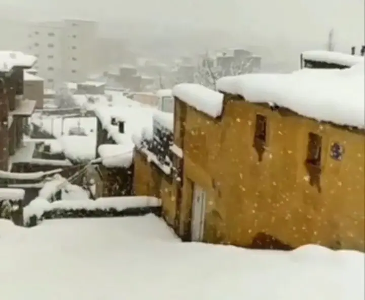 بارش برف سنگین در بانه؛ طبیعت سفیدپوش و شگفتی‌های زمستانی