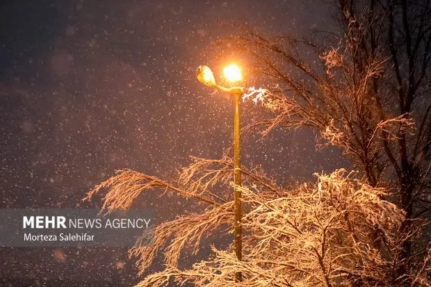 شب برفی طرقبه