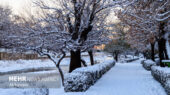 هشدار نارنجی در استان سمنان؛ هم‌نشینی برف، کولاک و یخ‌بندان