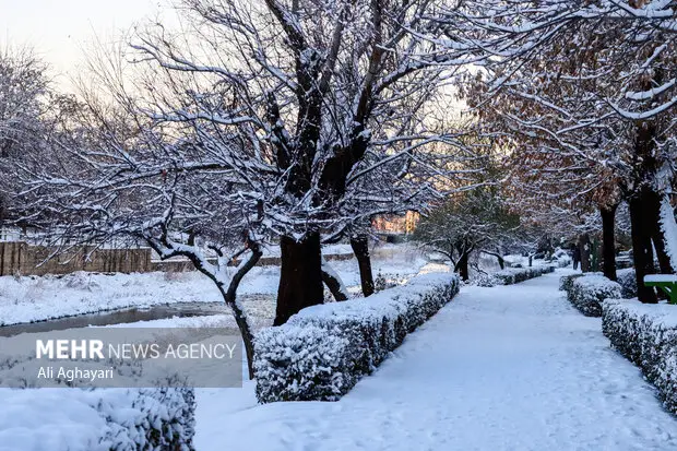 هشدار نارنجی در استان سمنان؛ هم‌نشینی برف، کولاک و یخ‌بندان