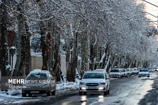 تصاویری از بارش برف در دماوند