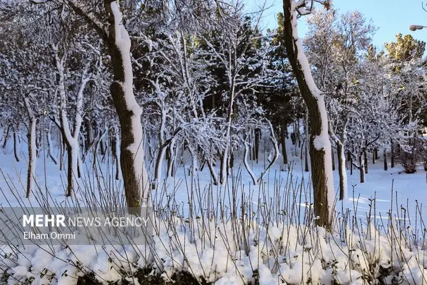 برف و یخبندان در مرکز دلفان