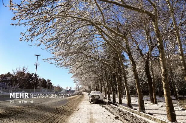 طراوت و شادابی شهر ایلام بعد از بارش برف