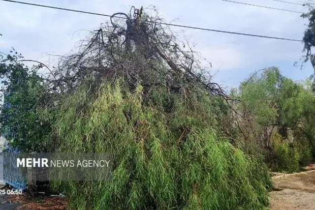 رکورد سرعت وزش باد در سواحل مکران شکسته شد