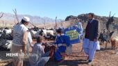 خدمت رایگان دامپزشکی به عشایر روستاهای ایرندگان خاش