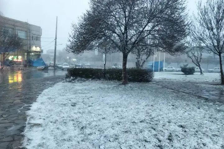 بارش برف زمستانی در چناران