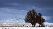 بارش برف شدید و وزش بادهای تند در زنجان تا سه‌شنبه؛ هشدار هواشناسی جدی شد!