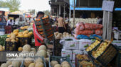 ۹ غرفه ویژه فروش میوه شب یلدا در مشهد با قیمت مصوب میدان بار فعال شدند
