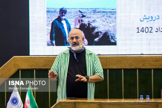 راز ۵۰۰ ساله چوب‌های خشک جنگلی که هنوز محیط زیست را نجات می‌دهد!