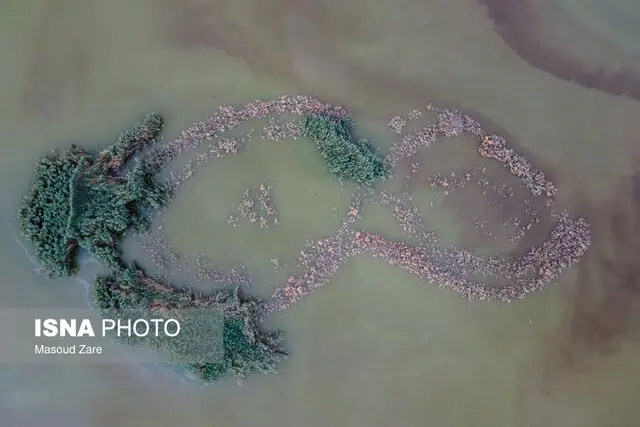 تالاب پساب یزد؛ گنجی رهاشده در کویر یا معضلی که نفس شهر را تنگ کرده است؟