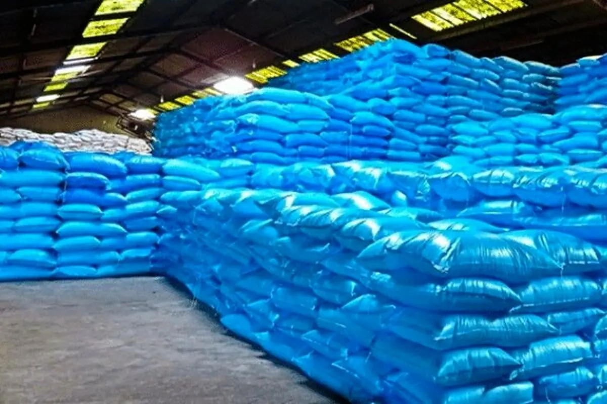 هشدار جدی درباره بحران امنیت غذایی؛ چرا سم و کود کشاورزی نایاب شده‌اند؟