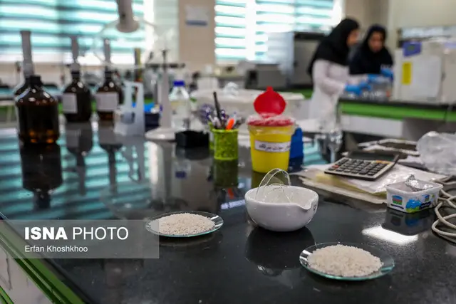 راز موفقیت پژوهشگران؛ چرا تقویت آزمایشگاه‌ها و گرنت‌ها ضروری است؟