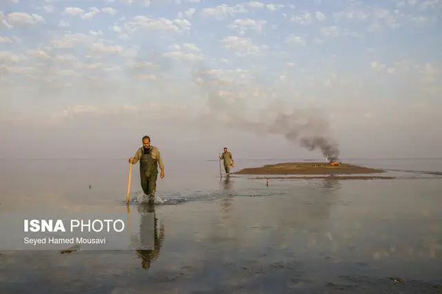 تخریب ۱۵ دامگاه غیرقانونی صید پرندگان مهاجر در تالاب بامدژ؛ عملیات ضربتی محیط‌زیست خوزستان