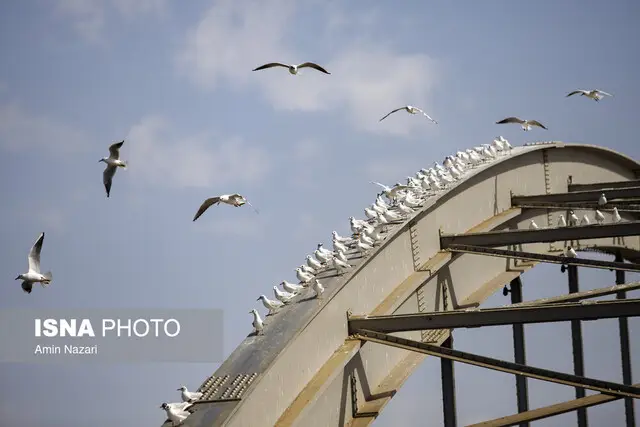 خوزستان در آستانه افزایش دما و مه غلیظ؛ هشدار برای رانندگان جاده‌ها!