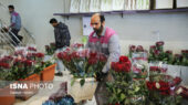 چرا قیمت گل در آستانه یلدا این‌قدر متعادل مانده؟ گزارش ویژه از بازار مشهد