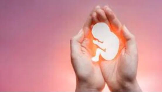 چرا جوانان امروز کمتر ازدواج می‌کنند؟ پشت پرده چالش‌های بزرگ جمعیتی!