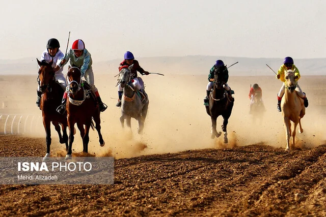 نامه عجیب فدراسیون سوارکاری به وزارت جهاد کشاورزی