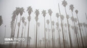هشدار نارنجی درباره مه غلیظ و کاهش دید در خوزستان؛ ترددها را جدی بگیرید!