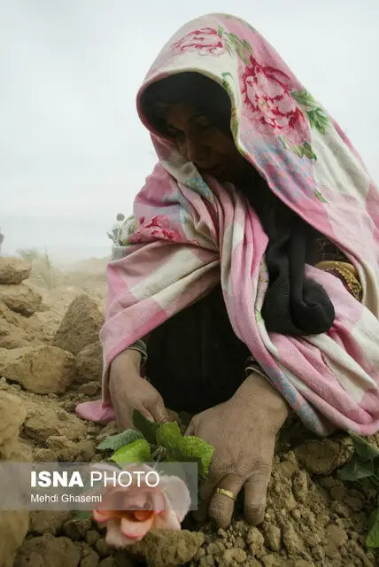 از ویرانی بم تا درس‌های تاب‌آوری؛ روایت پنجم دی