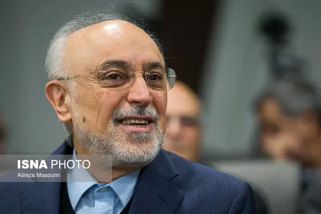 صالحی راه‌حل تازه‌ای برای نجات مذاکرات ایران و آمریکا پیشنهاد داد!