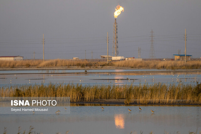 هوای ۱۲ شهر خوزستان به وضعیت هشدار «قرمز» و «نارنجی» رسید؛ سلامت مردم در خطر جدی!