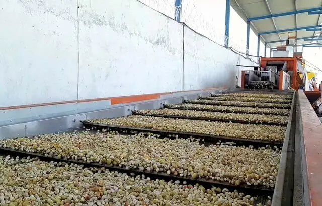 خراسان رضوی با سرمایه‌گذاری میلیاردی، به قطب صنایع تبدیلی و غذایی کشور تبدیل شد!