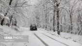 بارش برف در محورهای کوهستانی زنجان؛ تردد تنها با زنجیرچرخ ممکن شد!