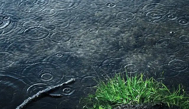 یزد در آستانه بارش‌های کم‌سابقه؛ برف ۵۰ سانتی‌متری در راه است!