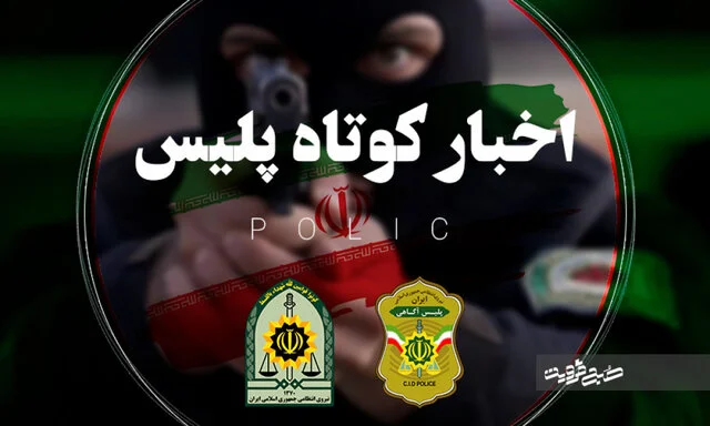 کشف محموله ۱۲ تنی برنج قاچاق ۲۴ میلیاردی در مازندران؛ زمین‌های ملی هم آزاد شد!