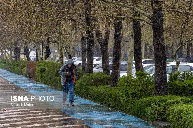 رستم در صدر بارش‌های سنگین فارس؛ باران چگونه زندگی را در این شهرستان متحول کرد؟