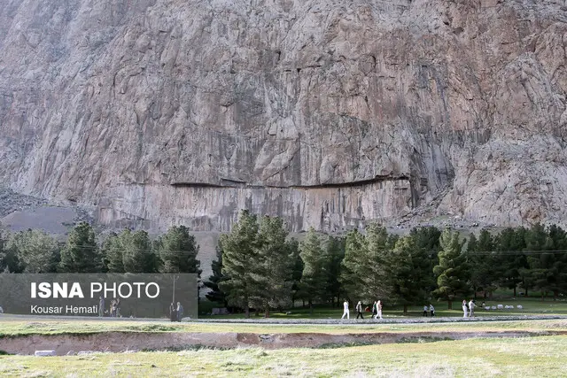 واکنش مسئولان به شایعه نابودی کاجستان بیستون: هیچ مسئولیتی نداریم!