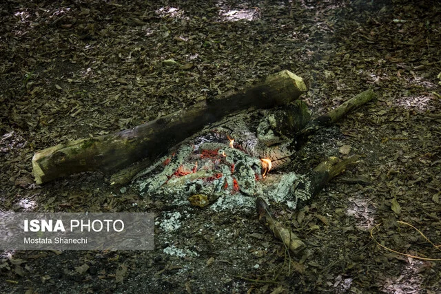 هیرکانی در اضطراب آتش بیتوجهی میسوزد/ گردشگرانِ ناآگاه، تهدید جنگلهای مازندران